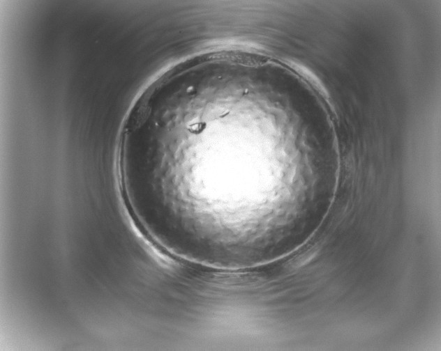 X0000071831391200607072158