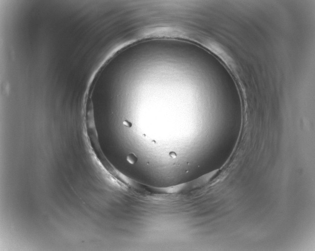 X0000071831392200607072158