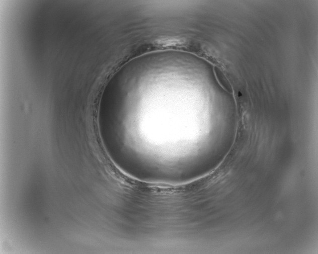 X0000071831393200607072157