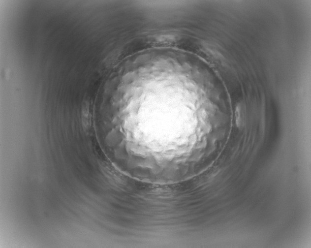 X0000071831395200607072157