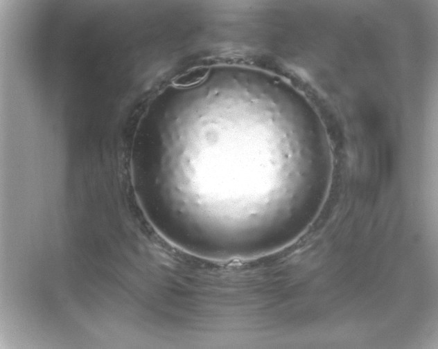 X0000071831399200607072157