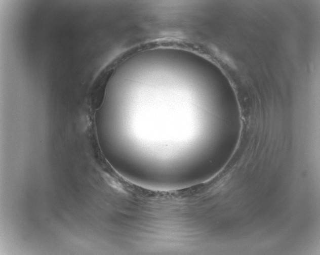 X0000071831400200607072158