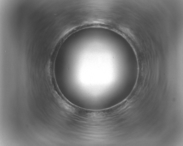 X0000071831404200607072158