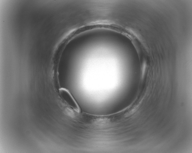 X0000071831406200607072158