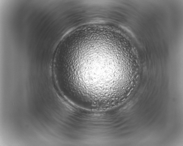 X0000071831409200607072158