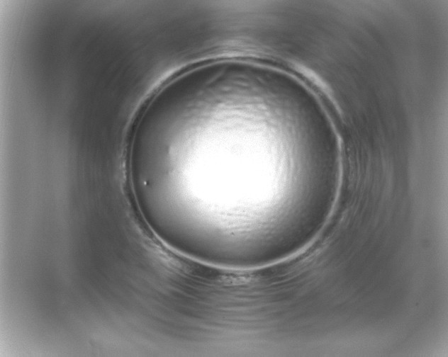 X0000071831415200607072158