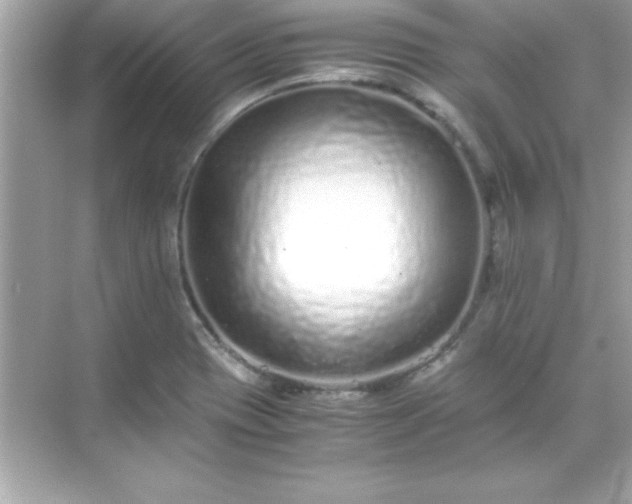 X0000071831417200607072158