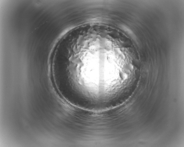 X0000071831419200607072158