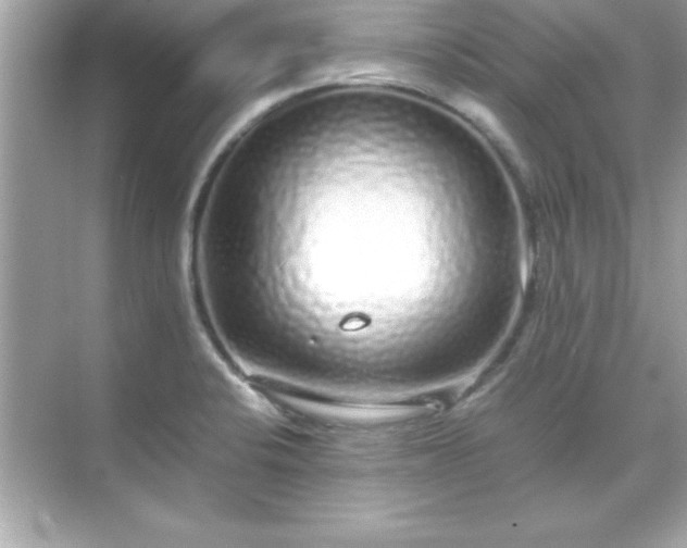 X0000071831424200607072158