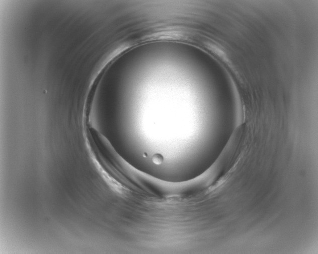 X0000071831426200607072158