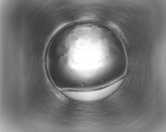 X0000071831427200607072158