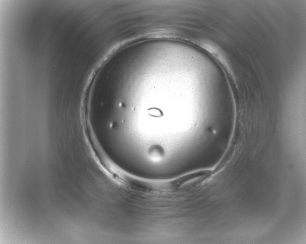 X0000071831429200607072158