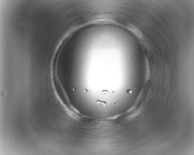 X0000071831430200607072158