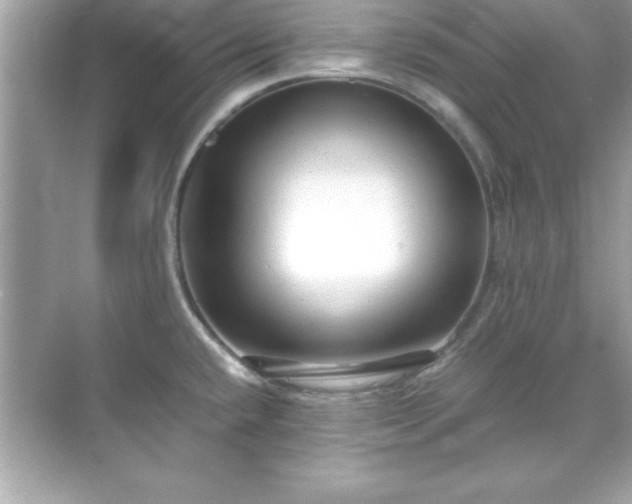 X0000071831432200607072158