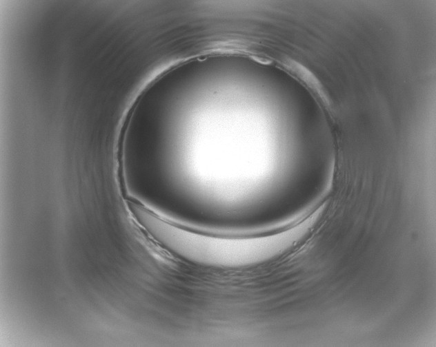 X0000071831435200607072158