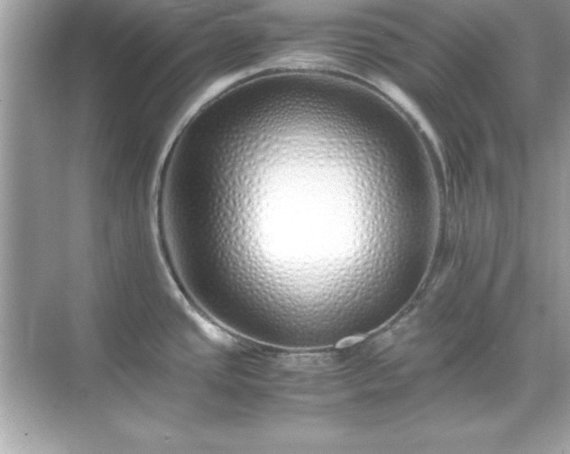 X0000071831437200607072158