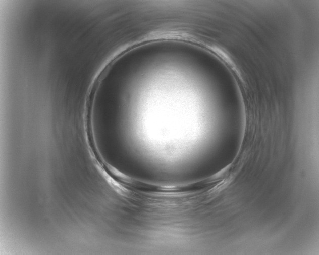 X0000071831438200607072158