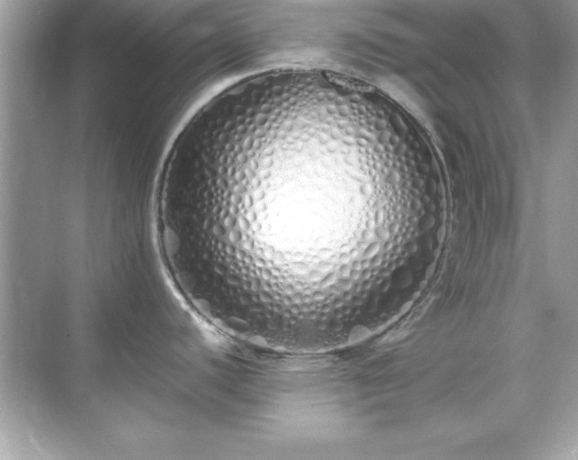 X0000071831440200607072158