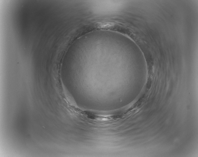 X0000071831441200607072157