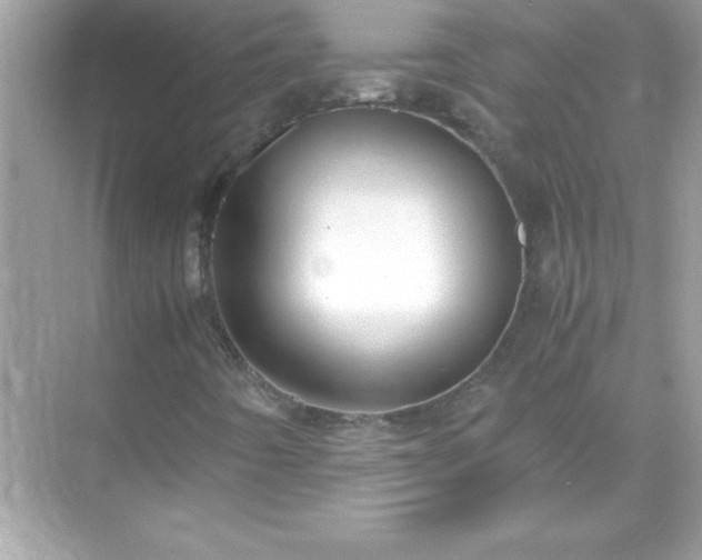 X0000071831442200607072157