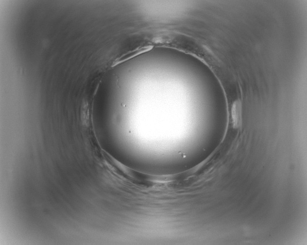 X0000071831443200607072157