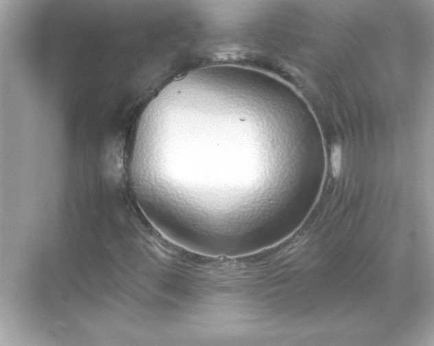 X0000071831444200607072157