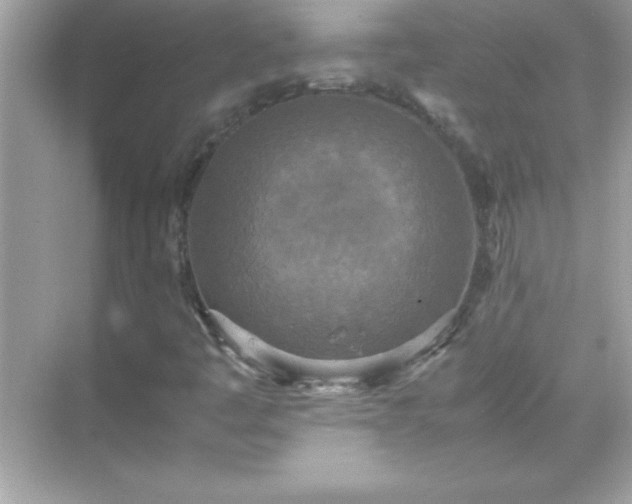 X0000071831445200607072157