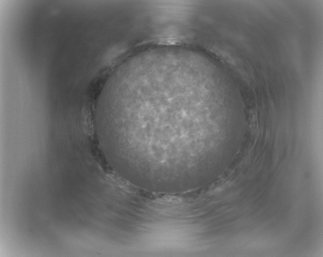 X0000071831446200607072157