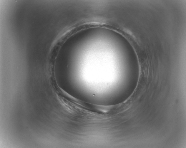 X0000071831448200607072157