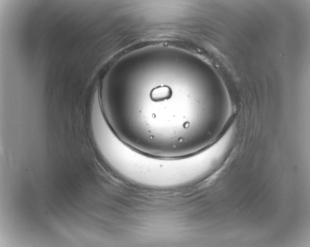 X0000071831449200607072157