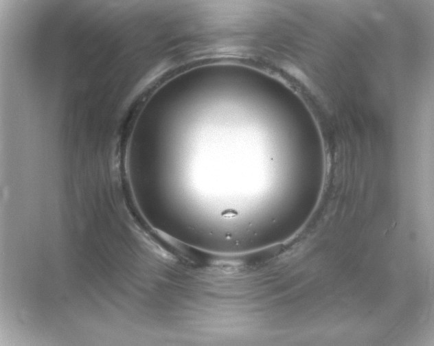 X0000071831450200607072157