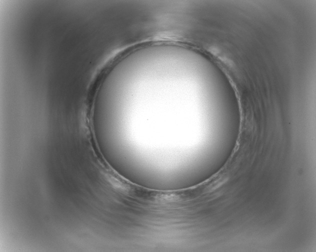 X0000071831454200607072157