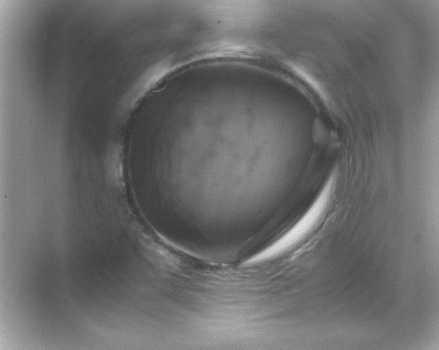 X0000071831455200607072157