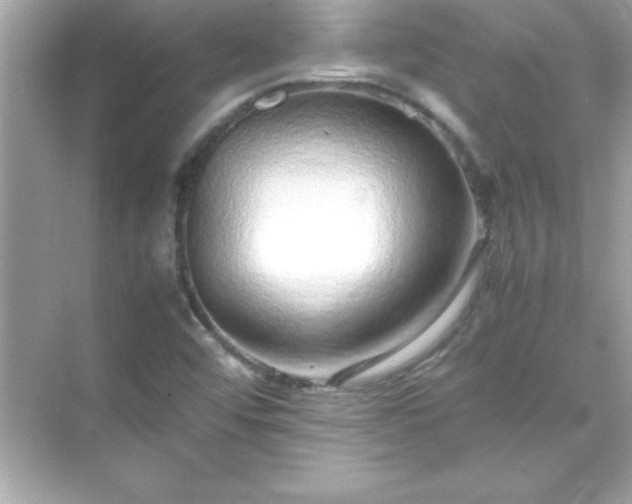 X0000071831456200607072157