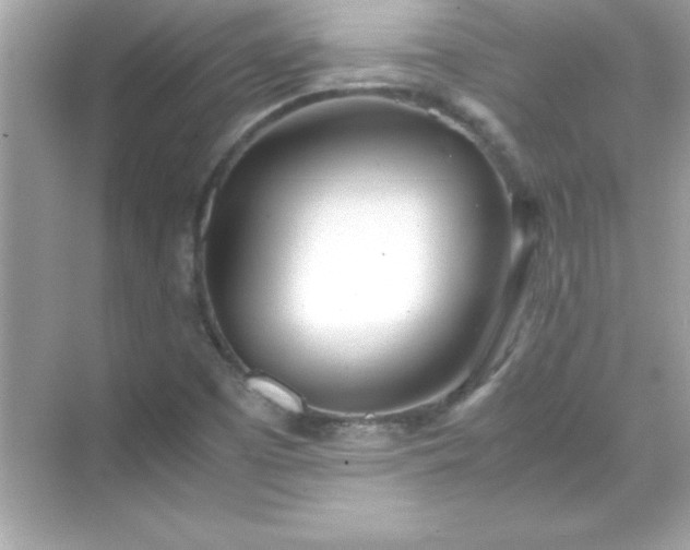 X0000071831457200607072157