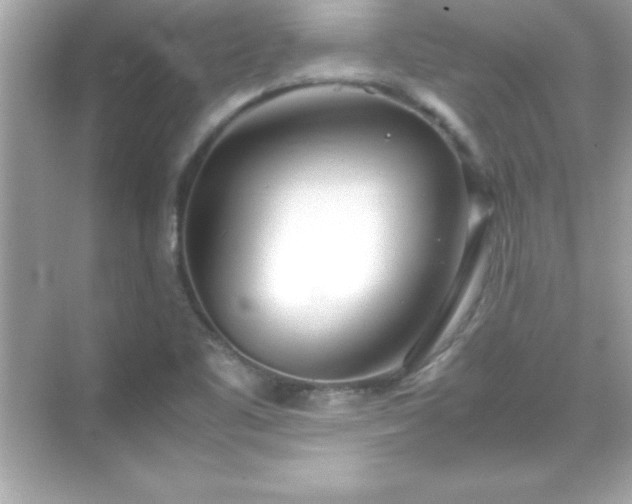 X0000071831461200607072157