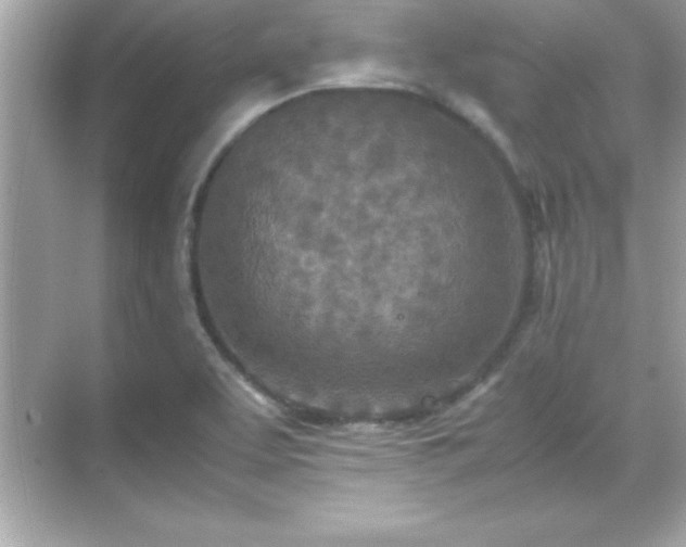 X0000071831463200607072157