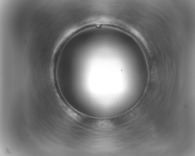 X0000071831464200607072157