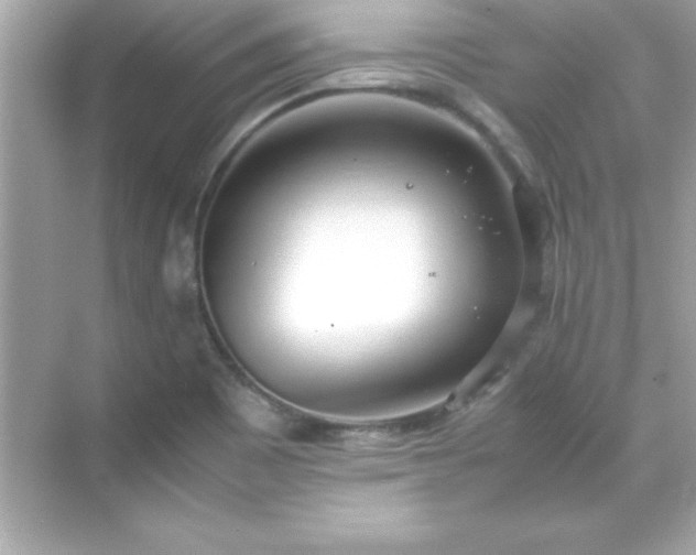 X0000071831465200607072157