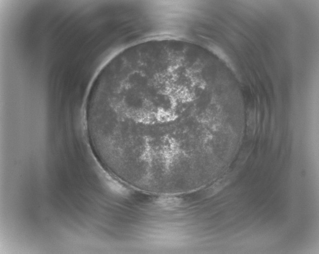 X0000071831466200607072157