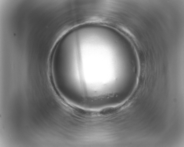 X0000071831467200607072157