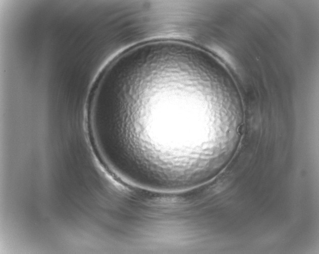 X0000071831468200607072157