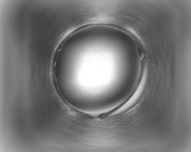 X0000071831469200607072157