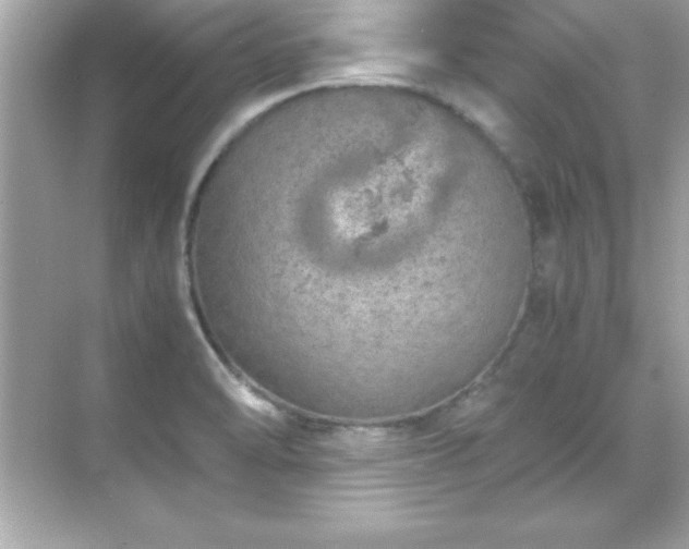 X0000071831470200607072157