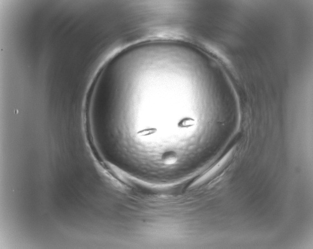 X0000071831471200607072157