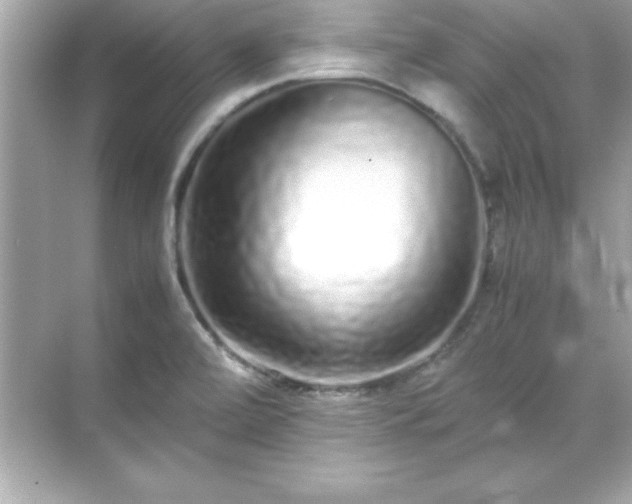 X0000071831472200607072157