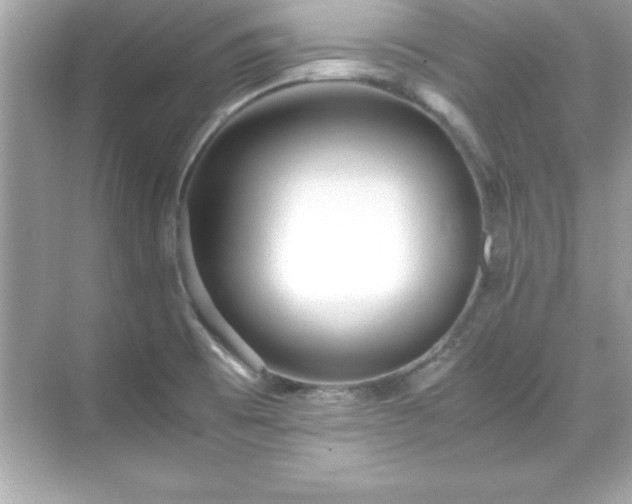 X0000071831473200607072157