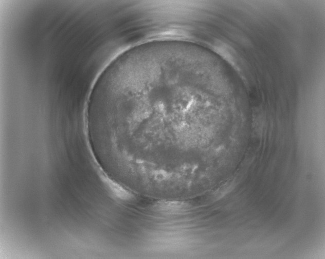 X0000071831474200607072157