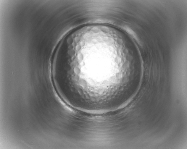 X0000071831476200607072157