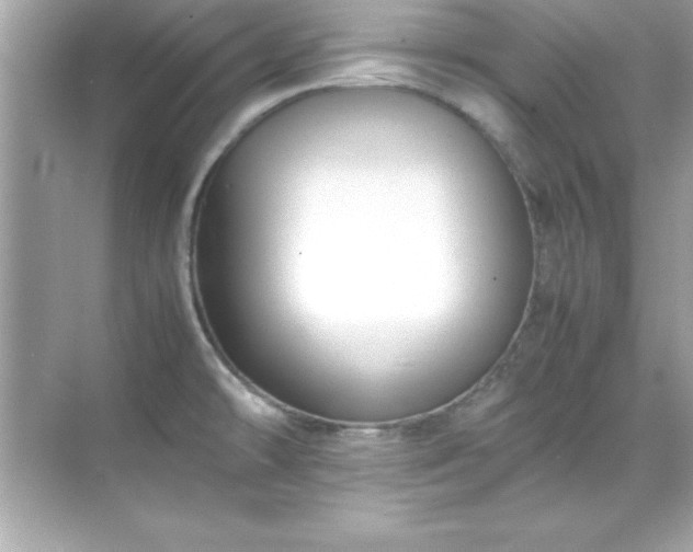 X0000071831478200607072157